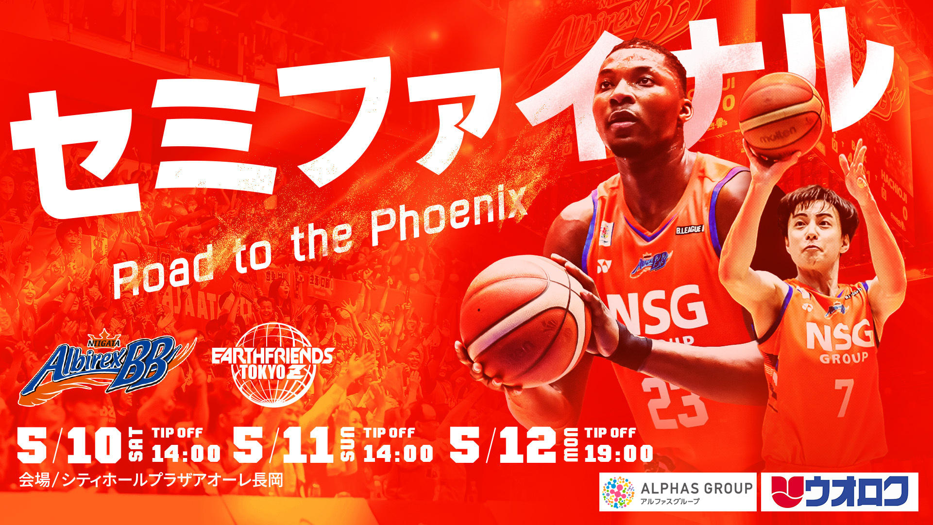 新潟アルビレックスBB サイン入り 入団記念セット 杉本天昇 バスケットボール 新潟アルビレックスBB サイン入り 入団記念セット 杉本天昇