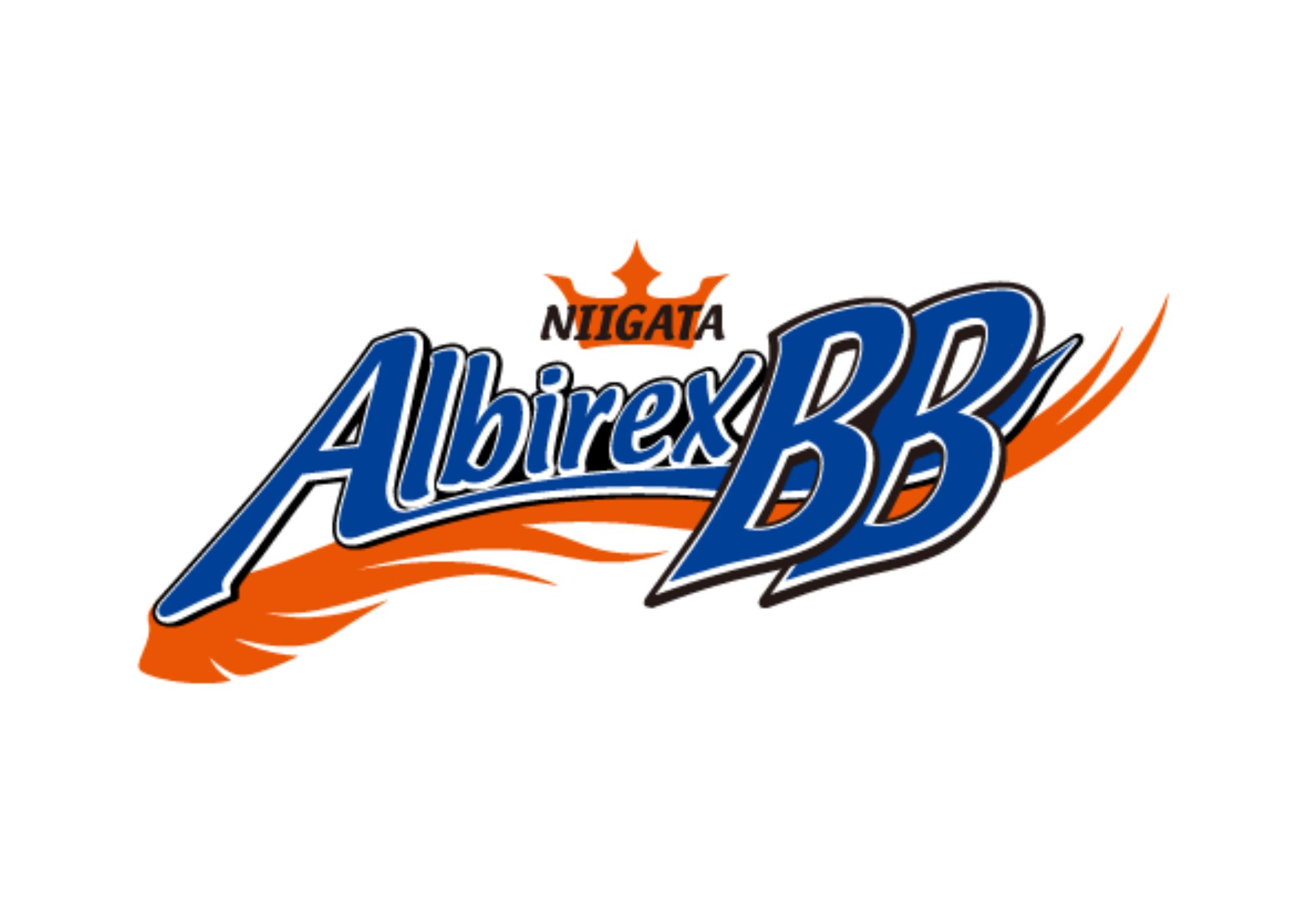 サイン入り 新潟アルビレックスBB セカンダリウェア 池田雄一 バスケットボール サイン入り 新潟アルビレックスBB セカンダリウェア 池田雄一