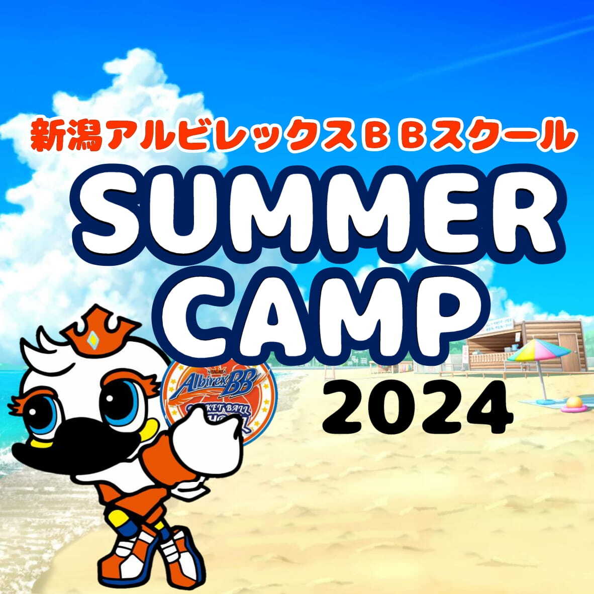スクール】サマーキャンプ2024開催のお知らせ | 新潟アルビレックスBB