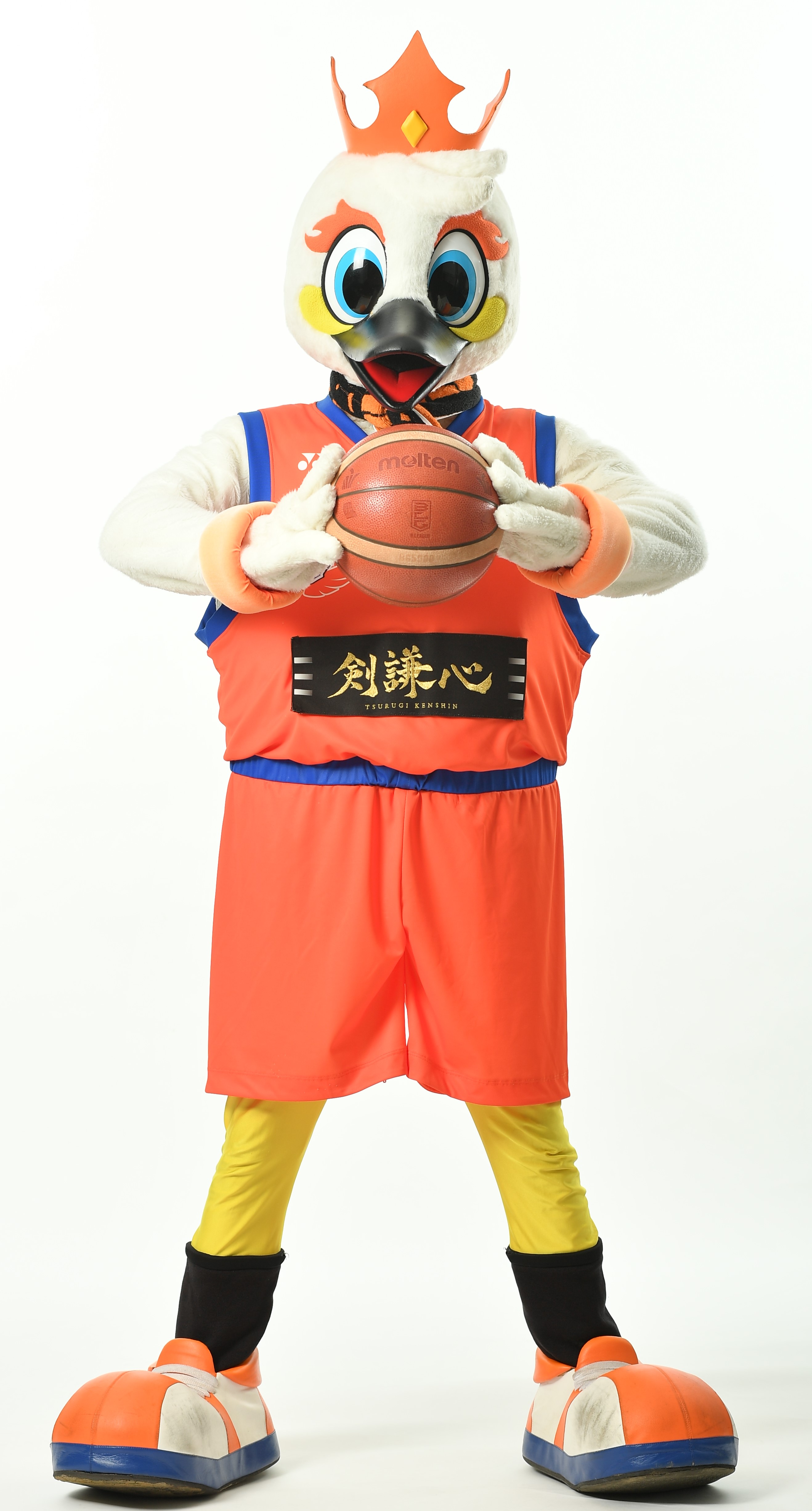 新潟アルビレックスbb ジャージ 納見悠仁選手 新潟アルビレックスBB ウエア