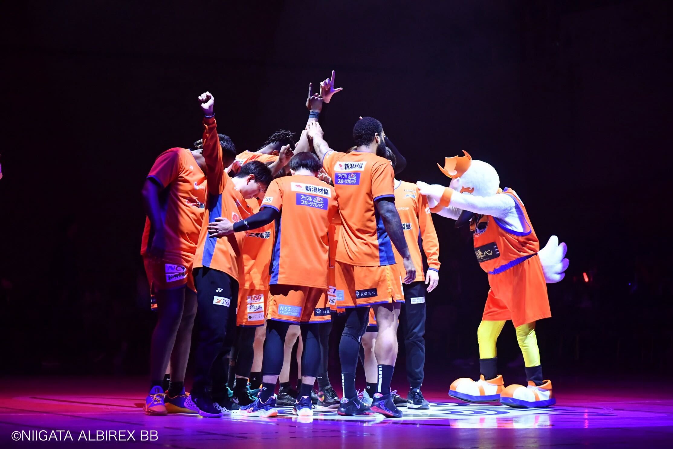 アルビレックス新潟bbウインドブレーカー アルビレックス新潟bbウインドブレーカー アルビレックス新潟bb