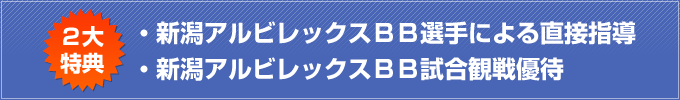 2大特典 新潟アルビレックスBB選手による直接指導・新潟アルビレックスBB試合観戦優待