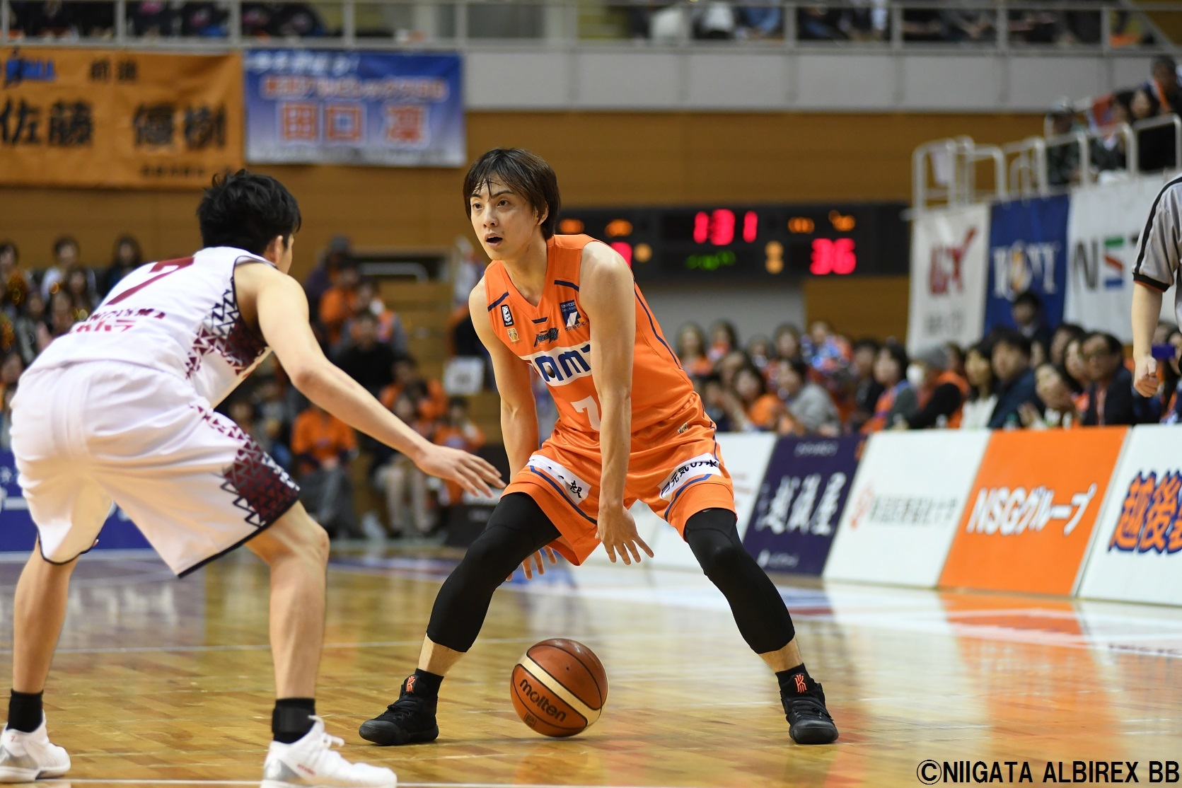 五十嵐圭選手 契約合意のお知らせ 新潟アルビレックスbb